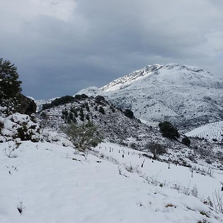 Finca Las Morenas Yunquera 외부 사진