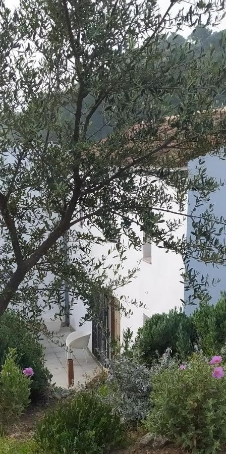 Finca Las Morenas Yunquera 외부 사진