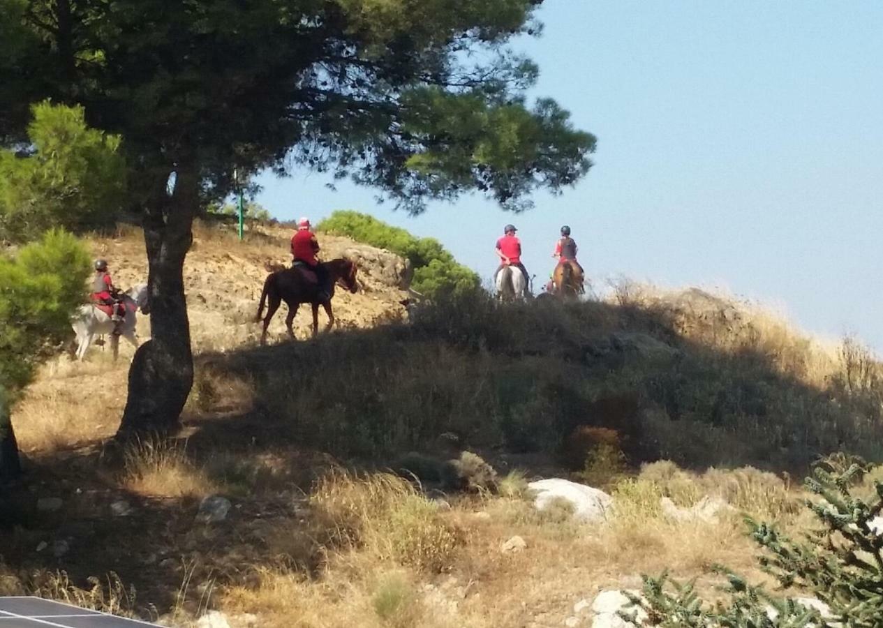 Finca Las Morenas Yunquera 외부 사진
